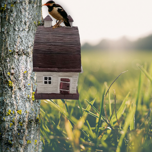 bird house