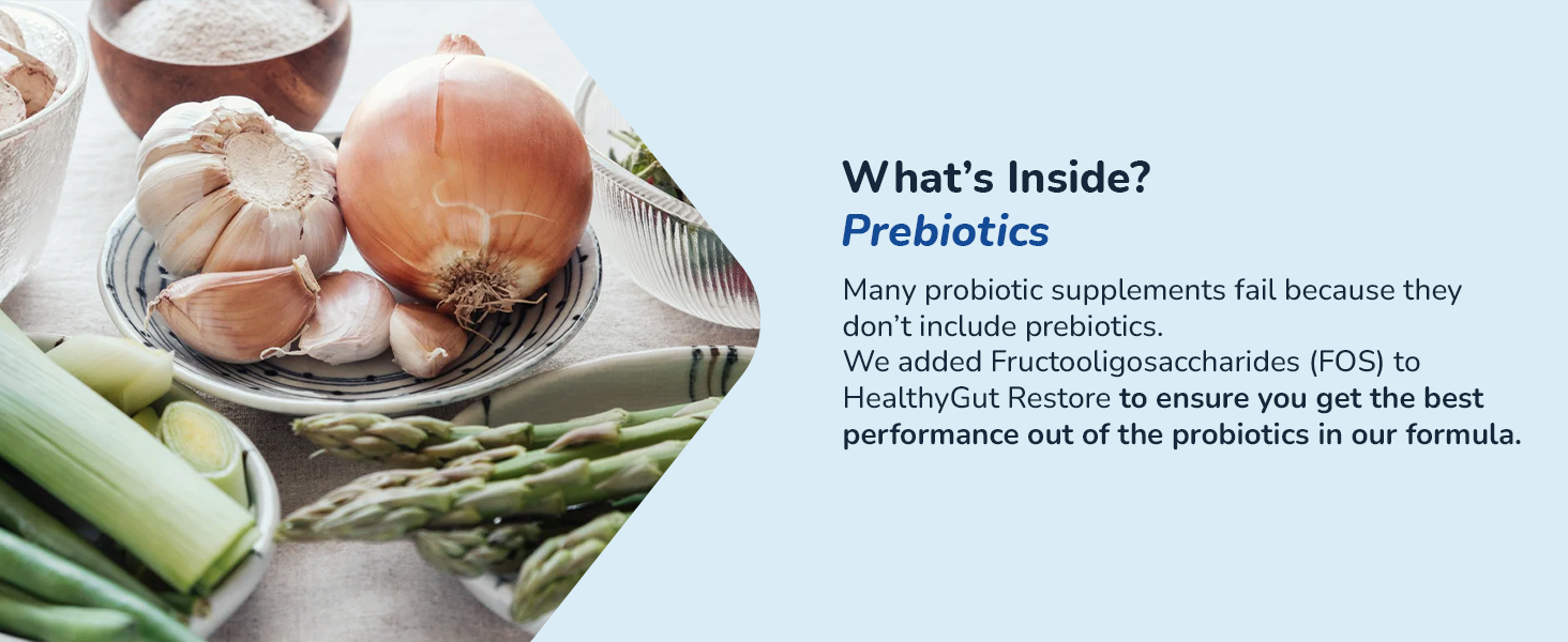 healthygut probiotics for digestive health gut men supplements pro biotics