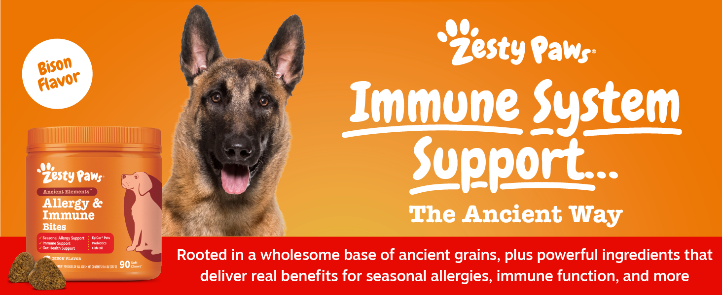 allergy support for dogs