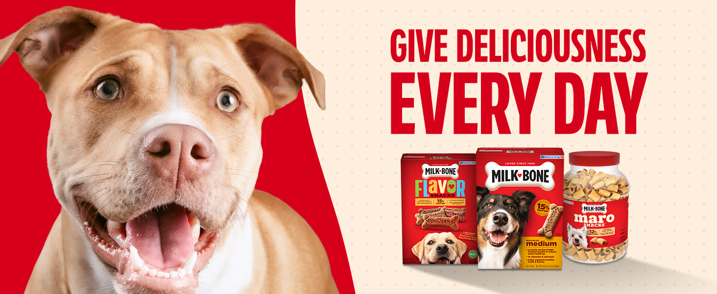 milk-bone biscuits