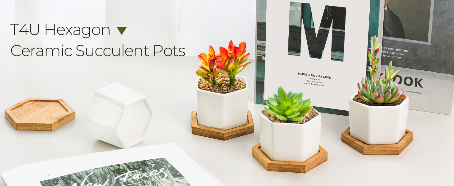 Succulent Pots