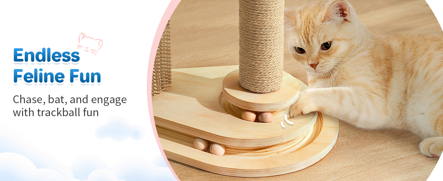 cat scratch post