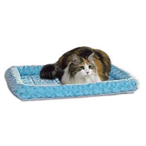 Cat on Fashion Blue Bed