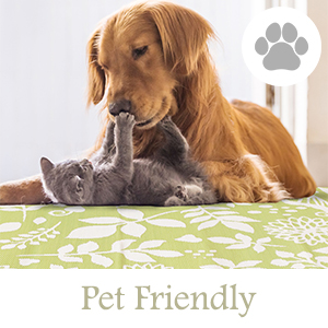 Pet Friendly outdoor rug, easy to was, rug, outdoor, mat, weatherproof rug, UV resistant
