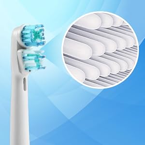 dual brush heads