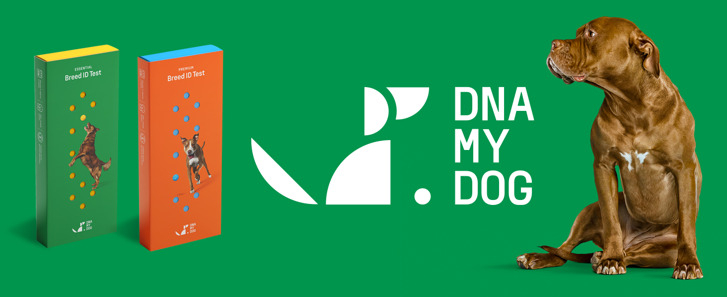 DNA My Dog Genetic Dog Test