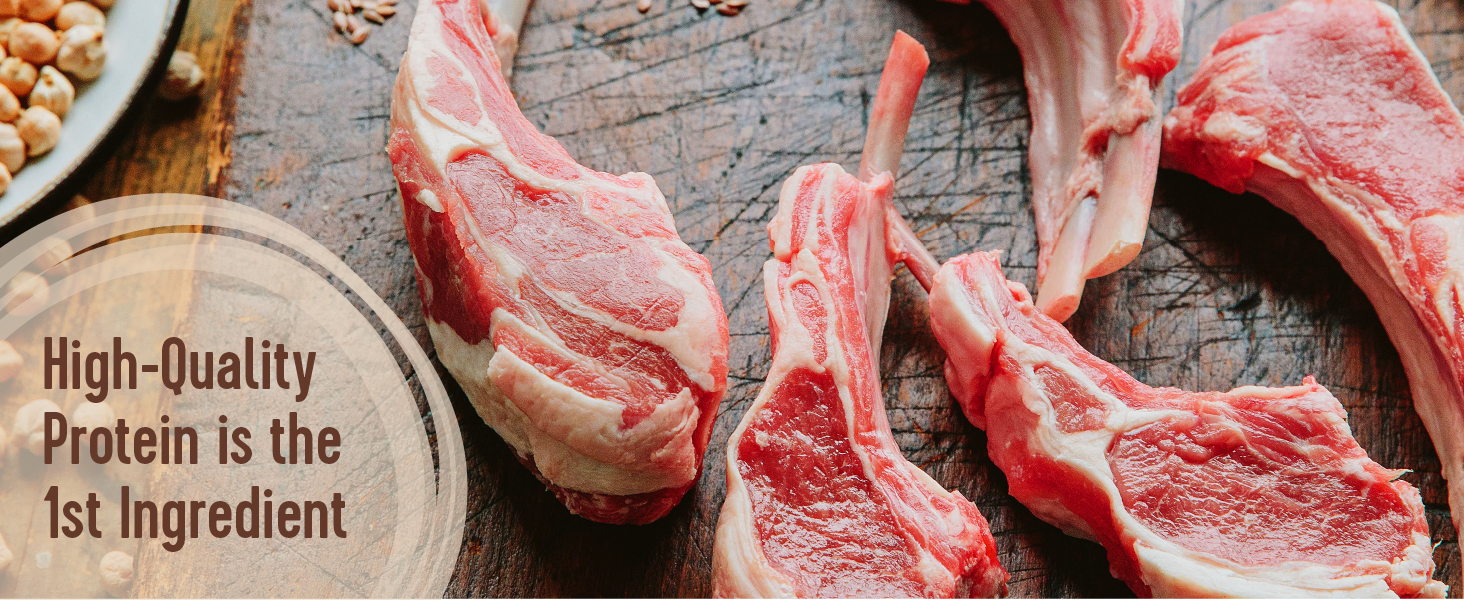 High-Quality Protein is the 1st Ingredient