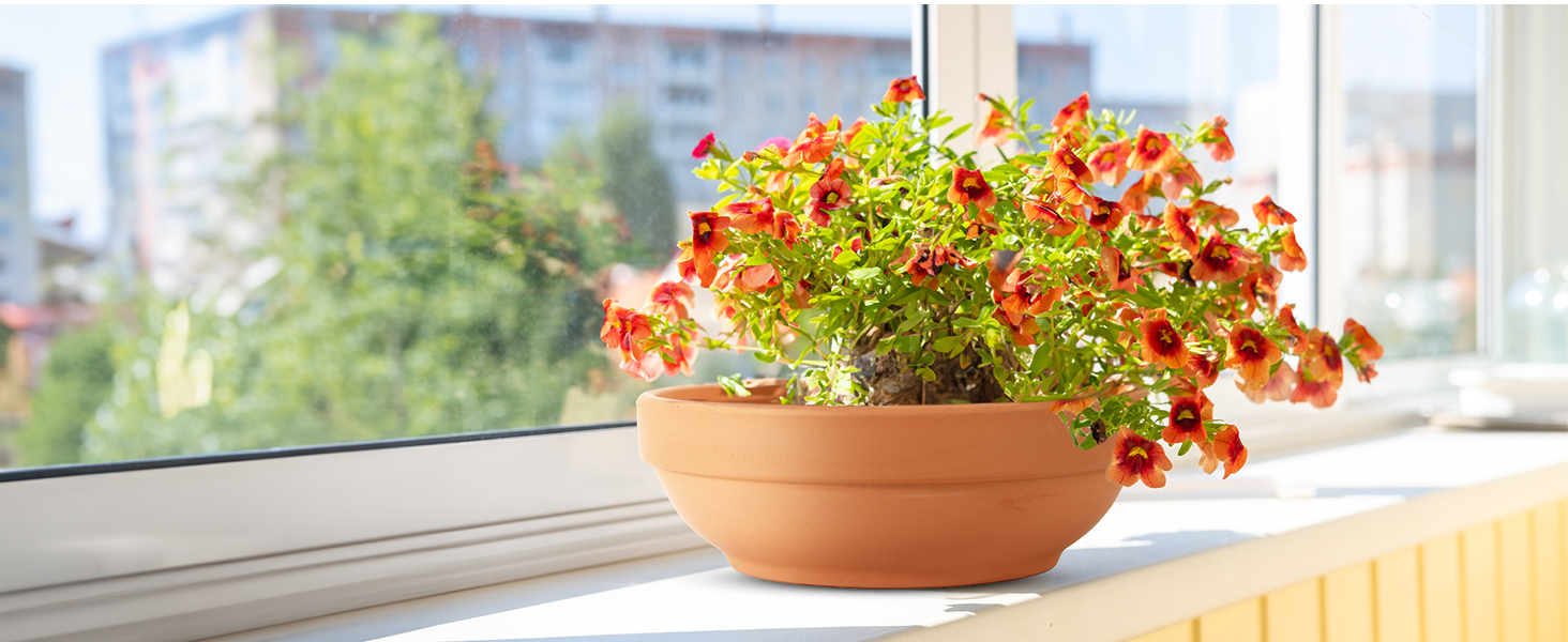 terracotta pots