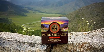 pure shilajit