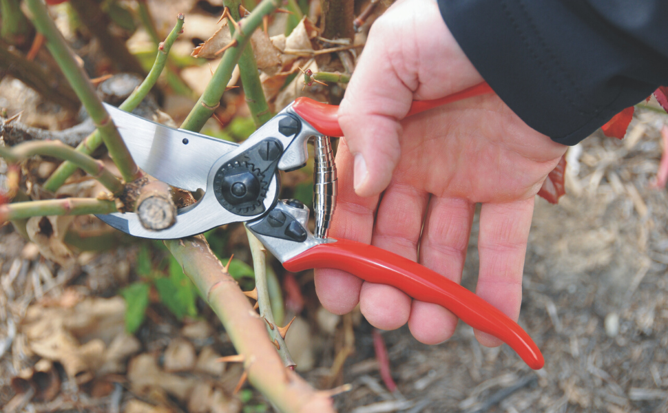 felco pruning shears loppers