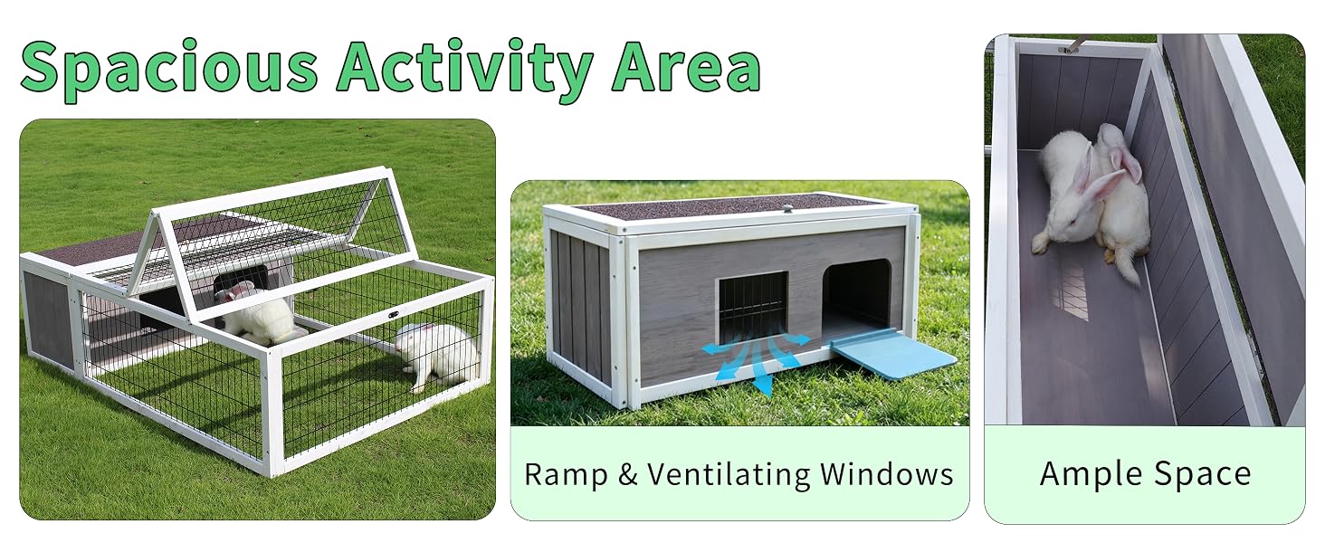 rabbit cage