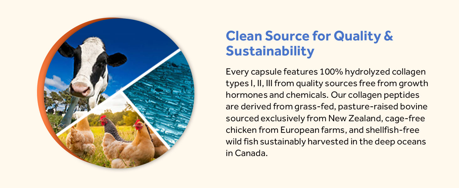 Doctor’s Recipes Multi Collagen Complex supports the body’s natural collagen production.