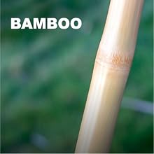 BAMBOO