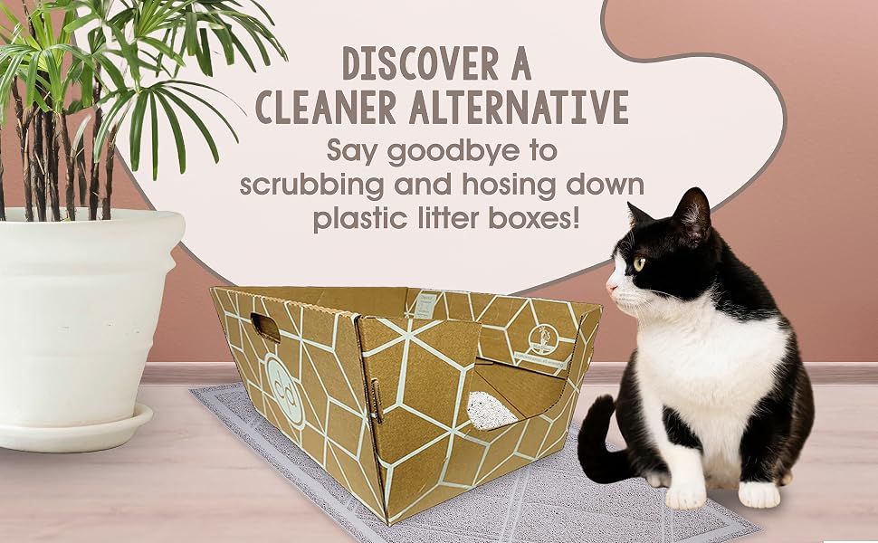 discover a cleaner alternative
