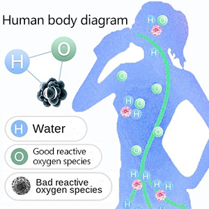 Hydrogen-rich water cup