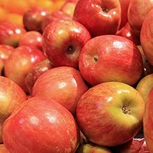 fresh fuji apples