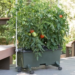 Green EarthBox container gardening system with optional casters and staking system