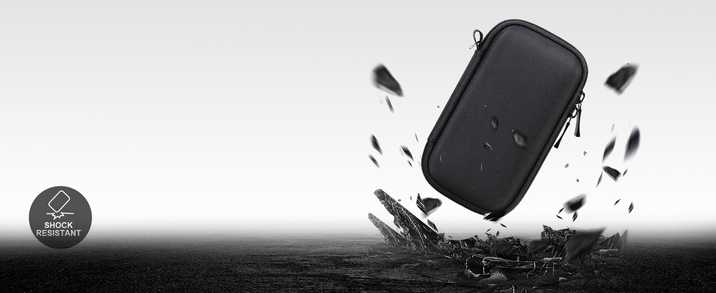 ssd carrying case