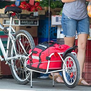 Maya Cycle groceries
