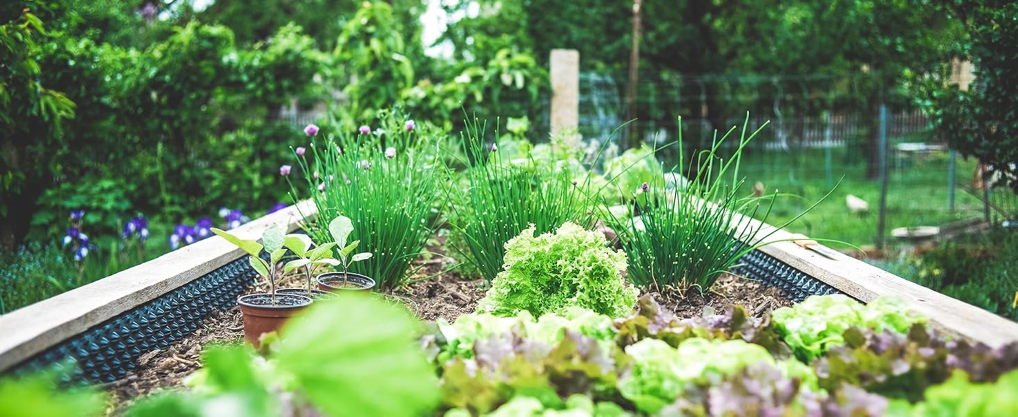 Herb Banner
