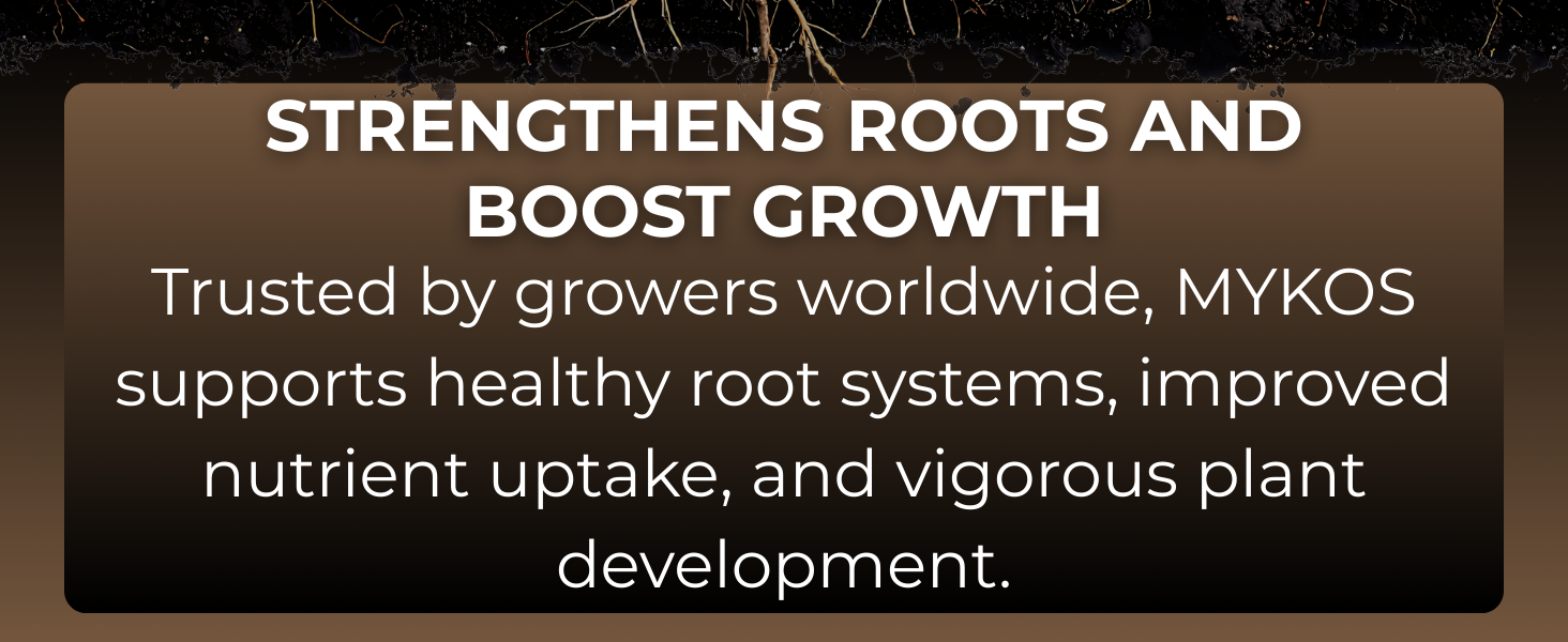 xtreme gardening mycorrhizae mycorrhizal fungi