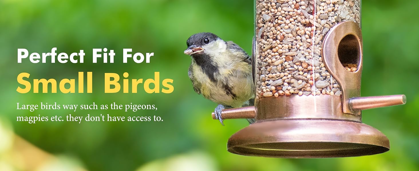 bird feeder