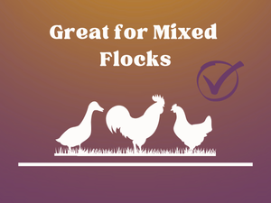 Great for mixed flocks