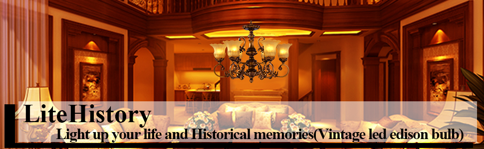 LiteHistory