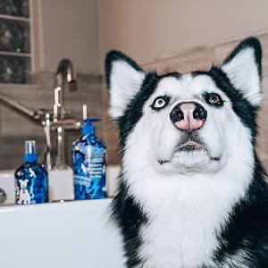 Berry Berry Shampoo