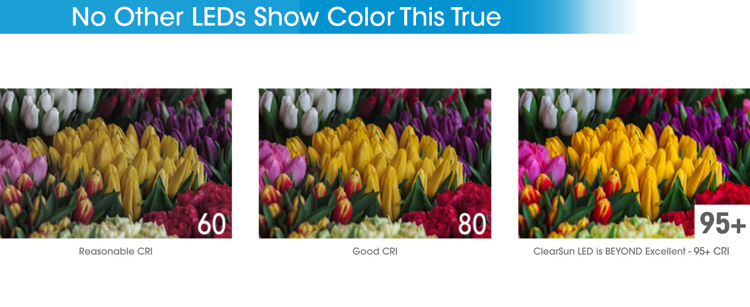 No Other LEDs Show Color This True Color Rendering Index CRI Comparison 95+ High Quality