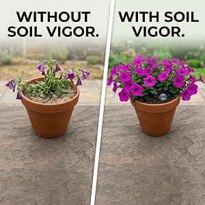 Before &amp;amp; after using Soil Vigor: Shows a wilted plant transformed into a lush, healthy one.