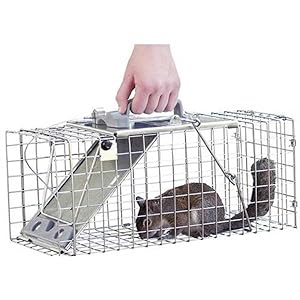 safe for you, safe for animal, trap