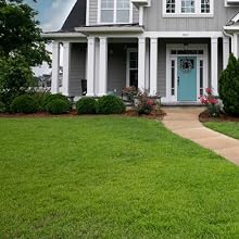 Zoysia Lawn