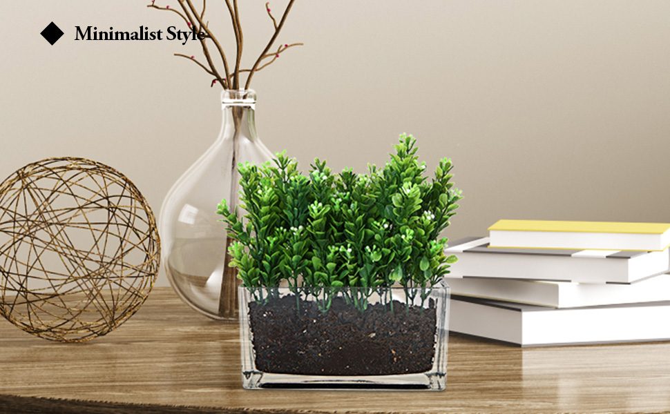 Modern Rectangular Glass Vase, Trough Planter, Tabletop Glass Terrarium