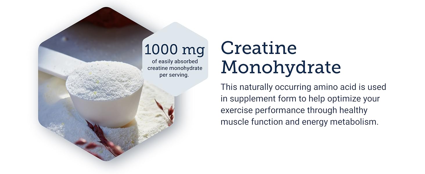 monohidratada creatin creatinr tablets