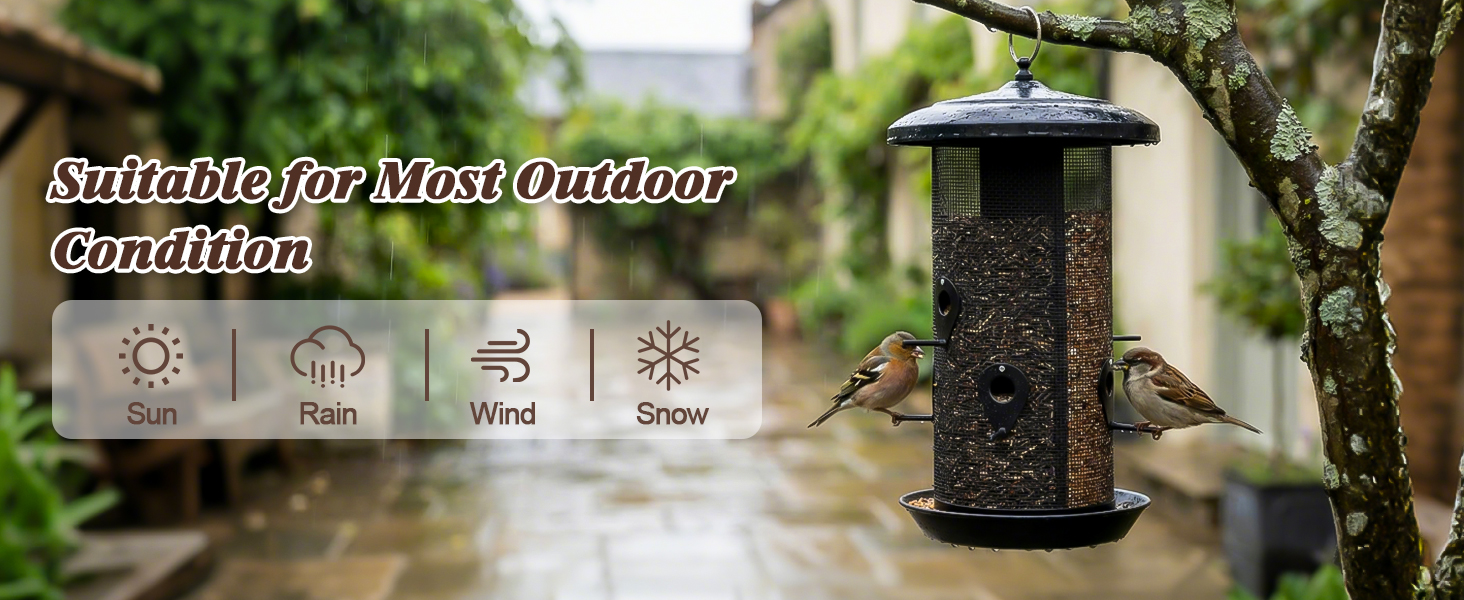 bird feeder