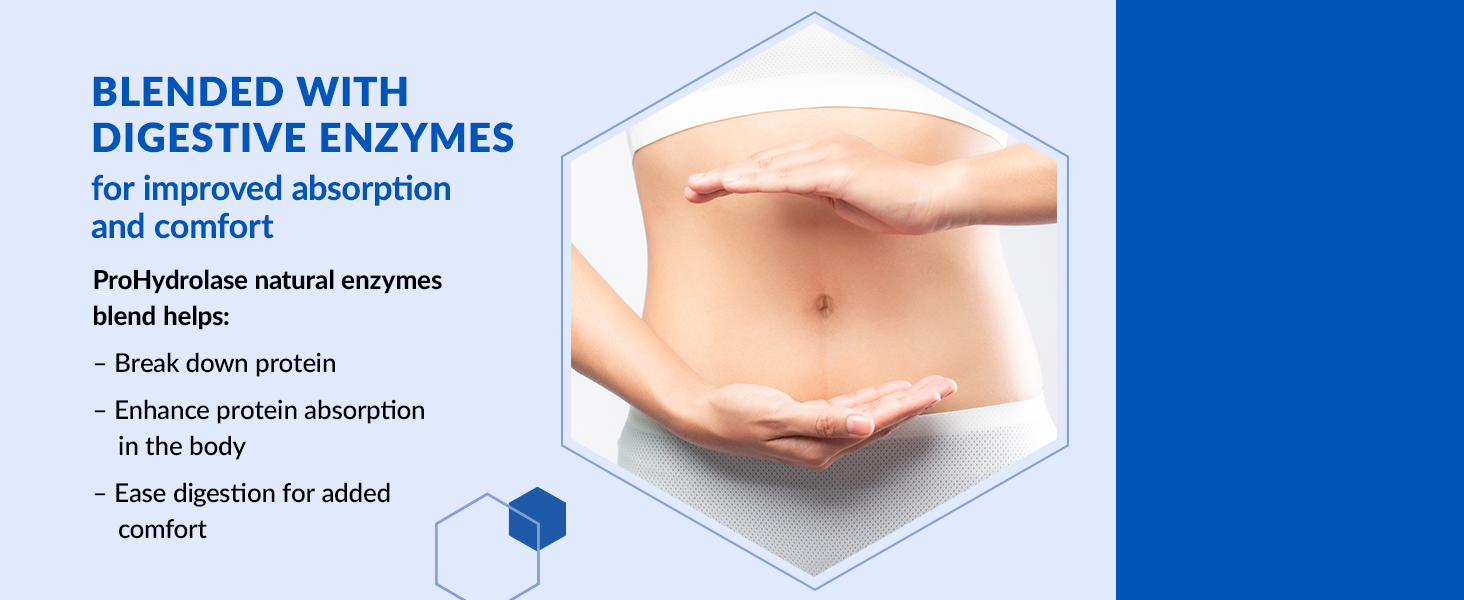 Protein powder with digestive enzymes for improved absorption and digestive comfort