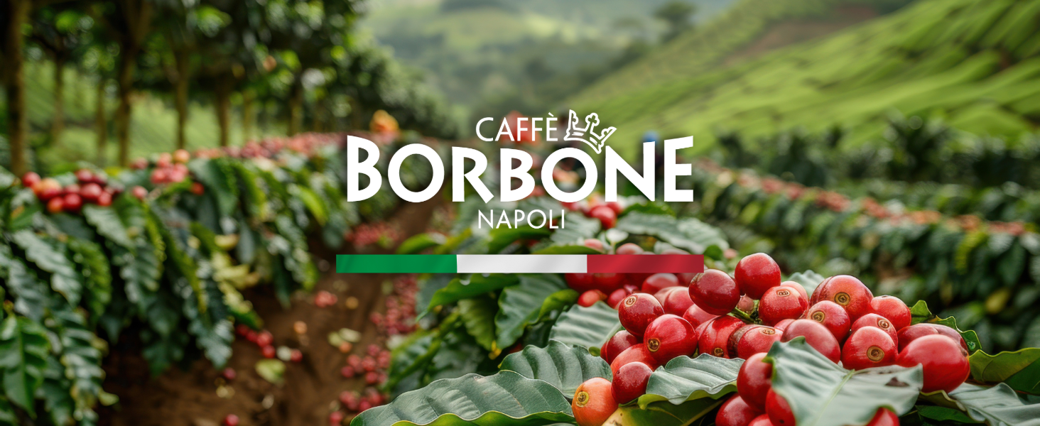 caffe borbone napoli logo with coffee field in background