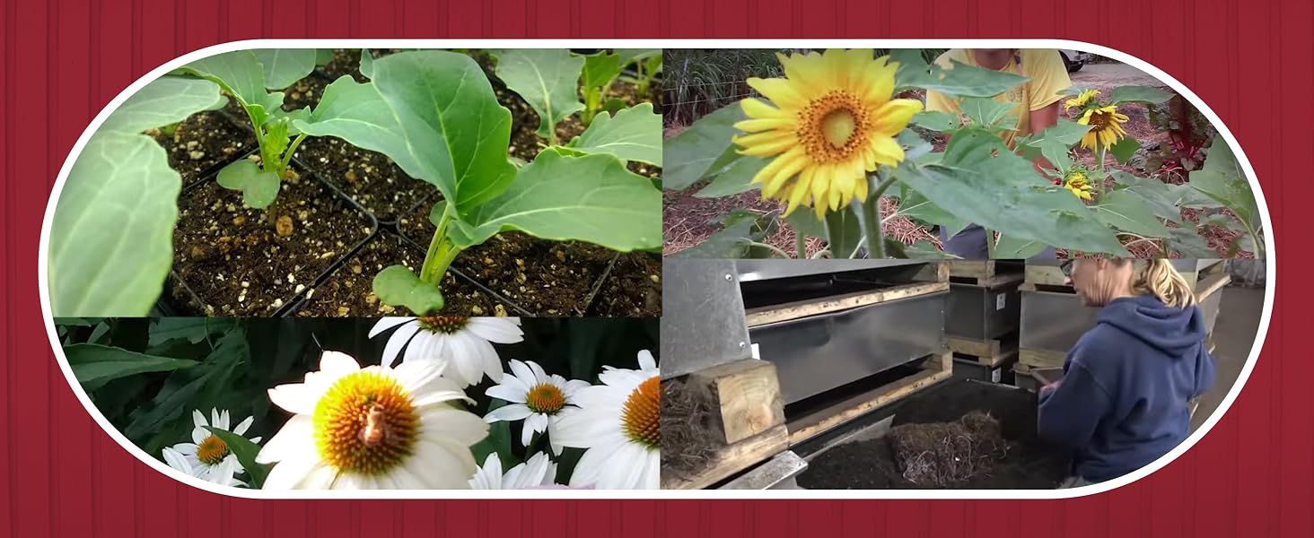 potting soil indoor plants soil indoor potting soil potting soil outdoor plants indoor plant soil