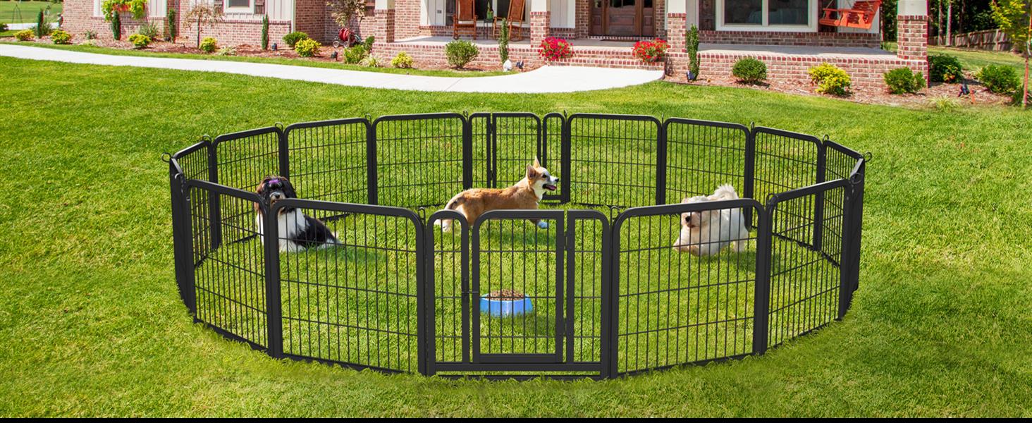dog playpen