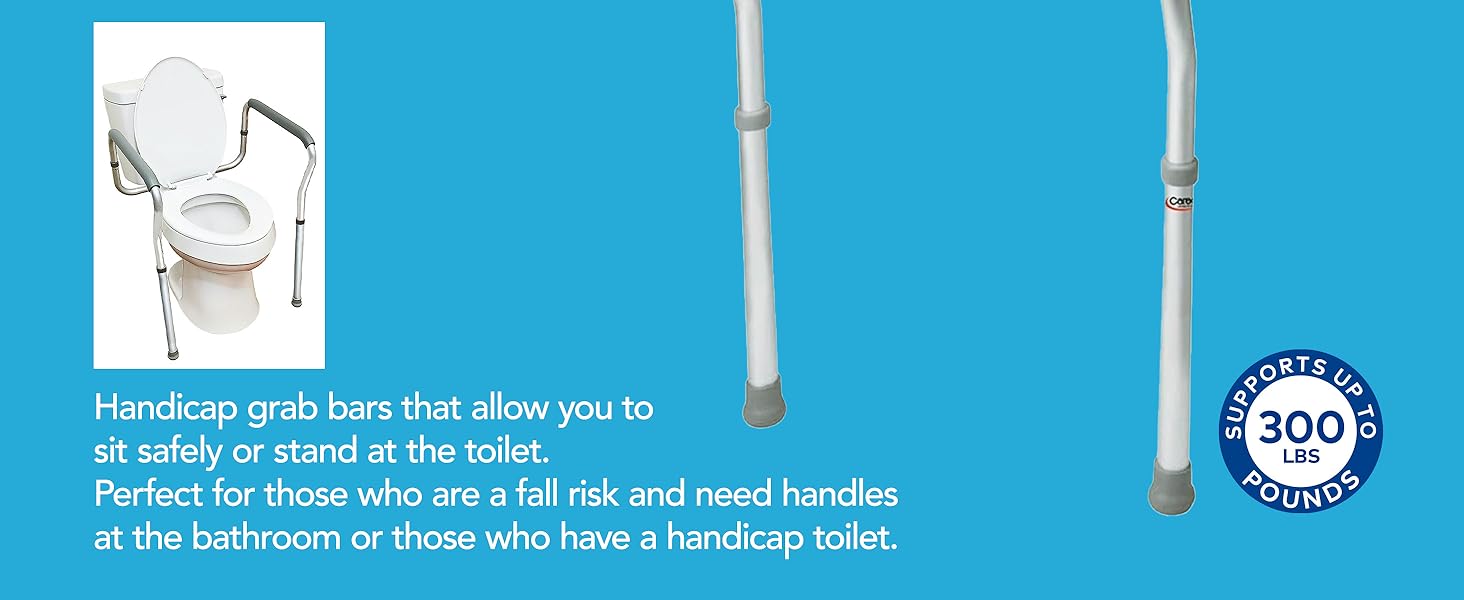Toilet Safety Rails