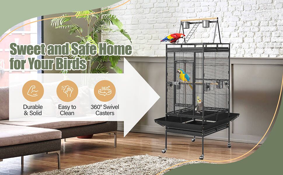 safe for your birds