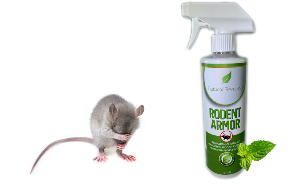 Peppermint smell that mice can't stand