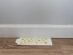 cockroach heavy duty glue board
