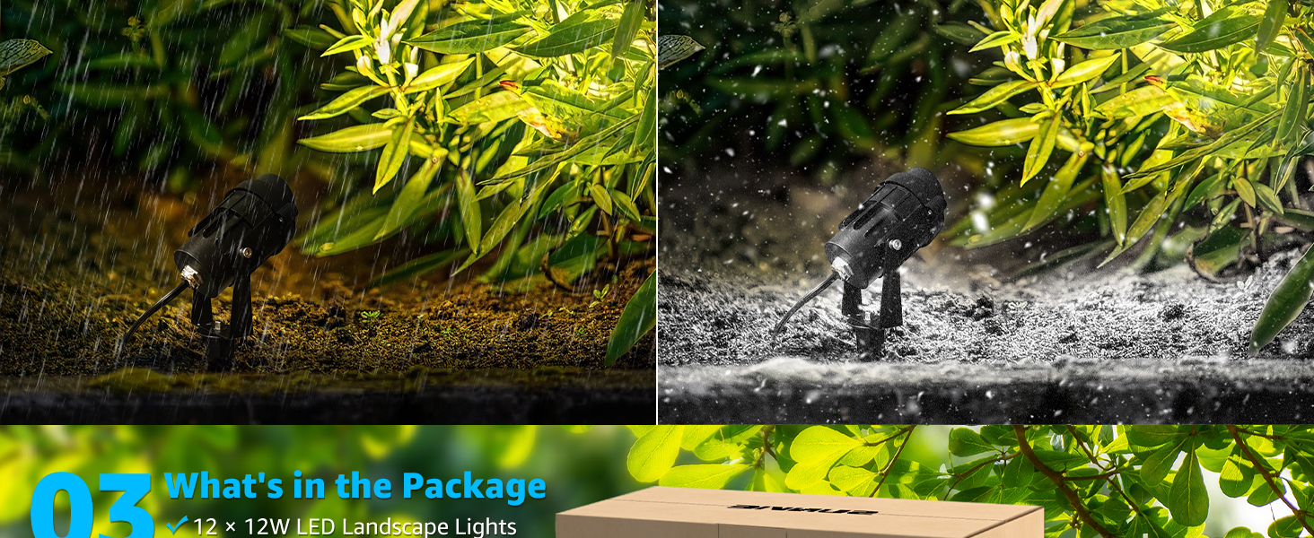 low voltage spotlight