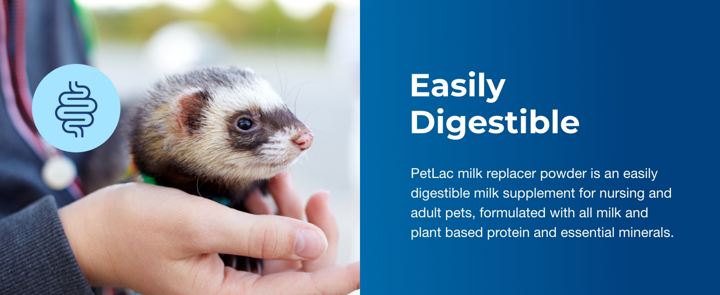 Easily Digestible
