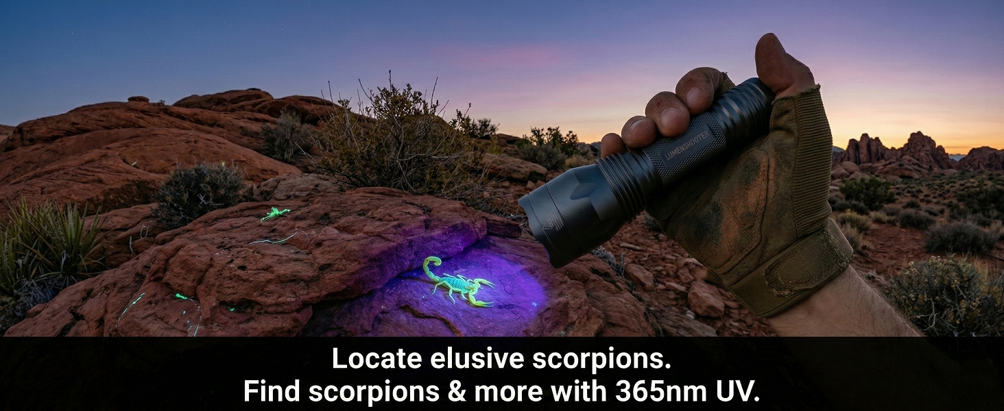 scorpion hunting