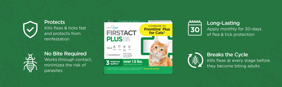 First Act Cat