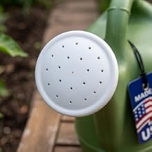 Sage Green Watering Can with detachable spray head for gentle plant hydration.