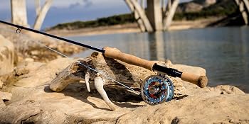 salt water fly fishing rod
